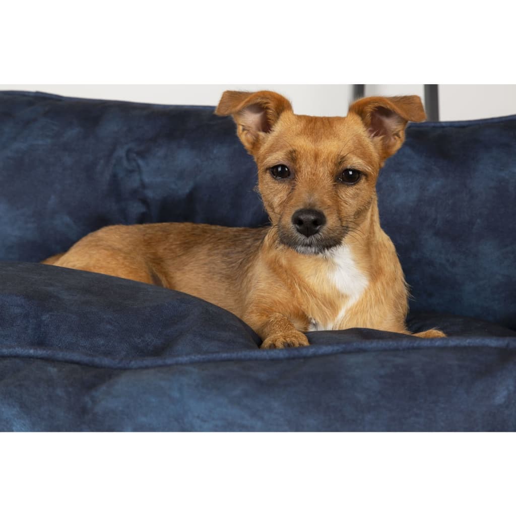 Hundebett Kensington Größe M 60x50 cm Marineblau