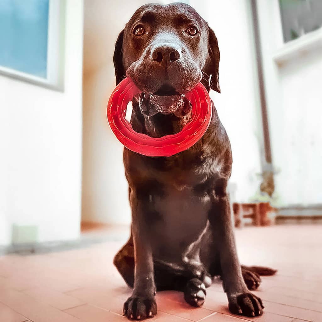 Kauspielzeug für Hunde Smile Groß 20x18x4 cm Rot