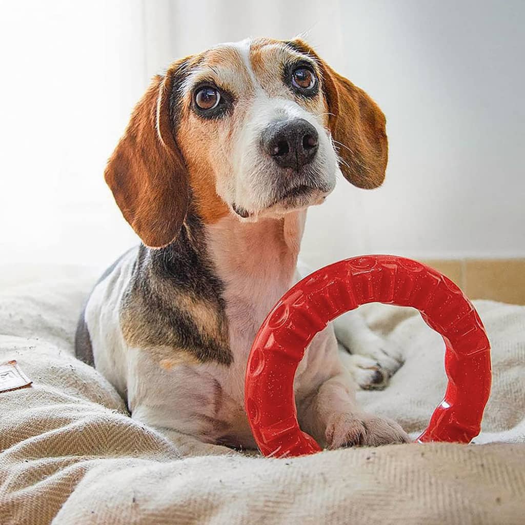 Kauspielzeug für Hunde Smile Groß 20x18x4 cm Rot