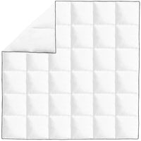 Winter-Daunendecke 200x200 cm