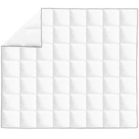 Winter-Daunendecke 240x220 cm